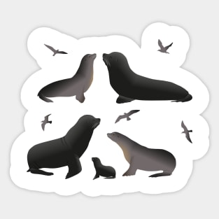 Sea lions family Sticker